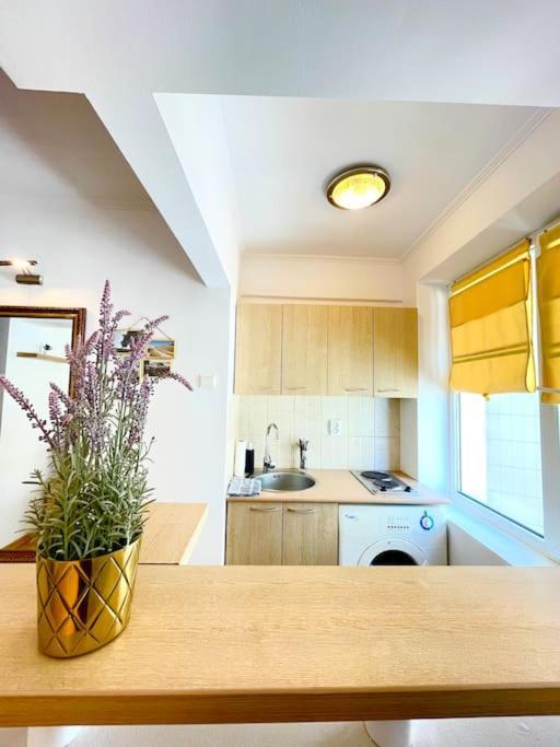 Boutique Apartment In The Bucharest City Center 外观 照片
